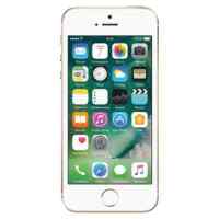 смартфон Apple iPhone SE MP842RU/A золотой