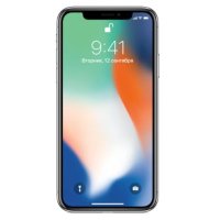 смартфон Apple iPhone X MQAD2RU/A