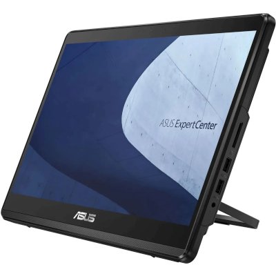 моноблок ASUS ExpertCenter E1 E1600WKAT-BMR204M 90PT0391-M01B60 Черный