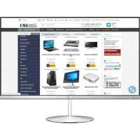 моноблок ASUS Zen ZN242GDK-CA019R 90PT0231-M05380 Серебристый