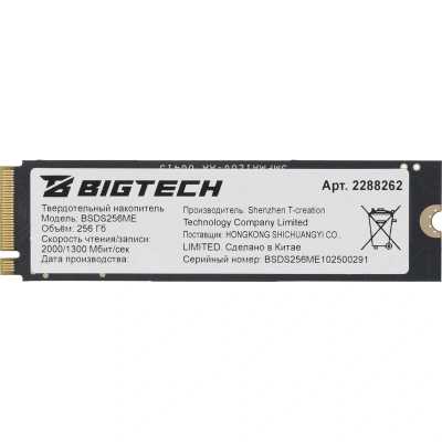 SSD диск BigTech 256Gb BSDS256ME Черный