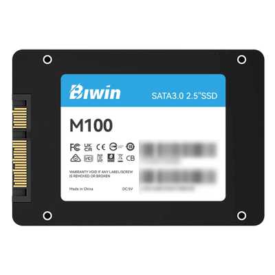 SSD диск Biwin M100 256Gb BM100NN256G-RGX Черный