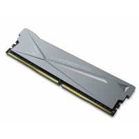 оперативная память BiwinTech DX500 B14BU8G53016ER-GAL