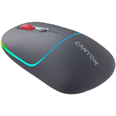 мышь Canyon MW-22 CNS-CMSW22DG Темно-серый