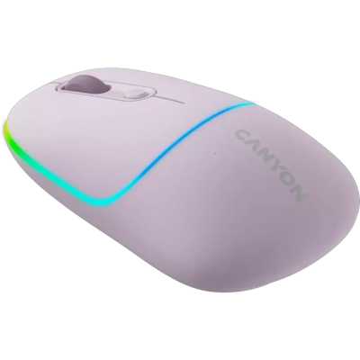 мышь Canyon MW-22 CNS-CMSW22PR Темно-серый