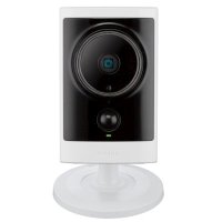 IP видеокамера D-Link DCS-2310L/UPA/B1A