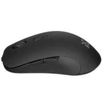 мышь Dream Machines DM1 FPS Raven Black Черный