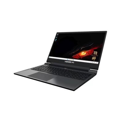 ноутбук Hasee S8 D42654FH Черный