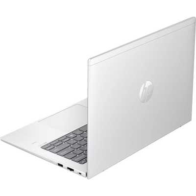 ноутбук HP ProBook 445 G11 A1RM4UT Серебристый