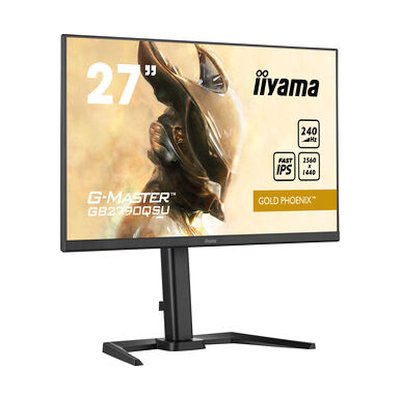 монитор Iiyama G-Master Gold Phoenix GB2790QSU-B5 Черный