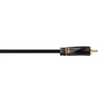 Avinity H-107498 Черный