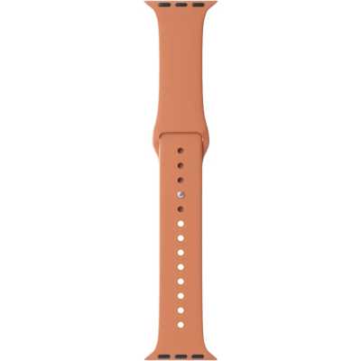 ремешок Lyambda DSJ-01-44-OR