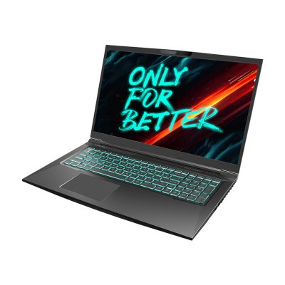 ноутбук Maibenben X668 X668QSFELBRE0-wpro Черный