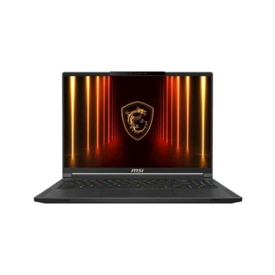 ноутбук MSI Stealth A16 AI+ A3XWHG-232XRU Серый