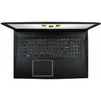 ноутбук MSI WT75 9SK-103 Черный