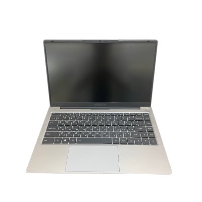 ноутбук Nerpa Caspica A542-14YM165002G Серый