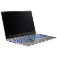 ноутбук Nerpa Caspica A752-15AC085201G Серый