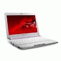 нетбук Packard Bell DOT S-E3/P-500RU Розовый