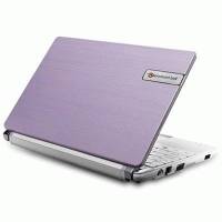 нетбук Packard Bell DOT S-E3/VW-513RU Фиолетово-Белый