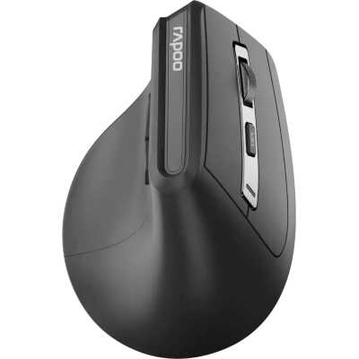 мышь Rapoo EV310M-DGR Black Черный