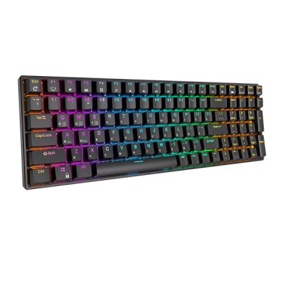 клавиатура Royal Kludge RK100 6935280813597 Черный